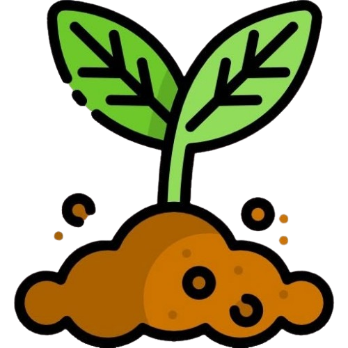 Planta creciendo